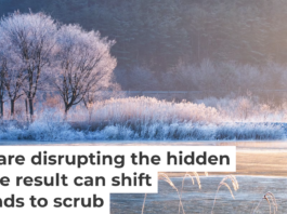 Warmer winters in normally snowy places can interfere with the important activities of microbes in the soil. Seogi/500px via Getty Images